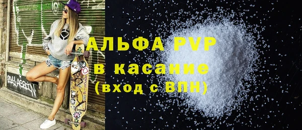 стафф Арсеньев