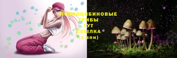 стафф Арсеньев