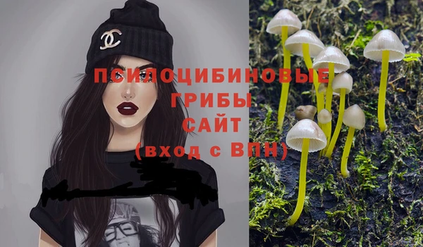 стафф Арсеньев
