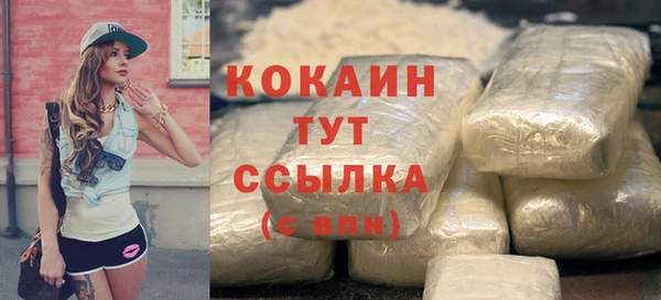 стафф Арсеньев
