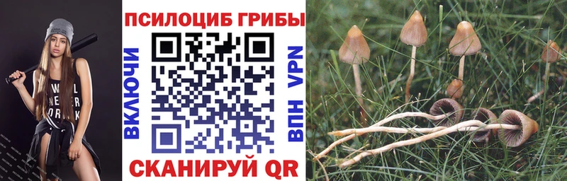 mega сайт  Мелеуз  Галлюциногенные грибы мухоморы 